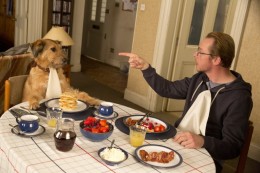 Absolutely Anything (1)