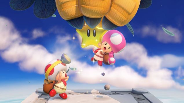 Toads Aren't Boys or Girls, They're Just Toads