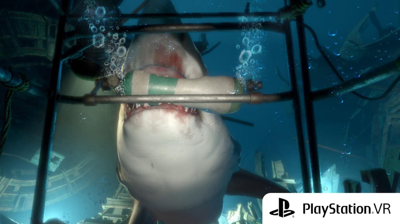 Shark Encounter is great edge-of-your-seat entertainment.