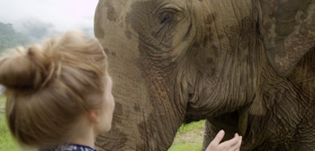 Love & Bananas Doc Trailer