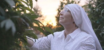 Breaking Habits Trailer