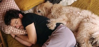 Dog Days Teaser Trailer