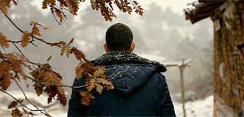 The Wild Pear Tree Review