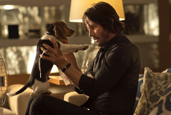 ‘John Wick’ Review: Fierce Action in a Unique and Curious Crime Underworld