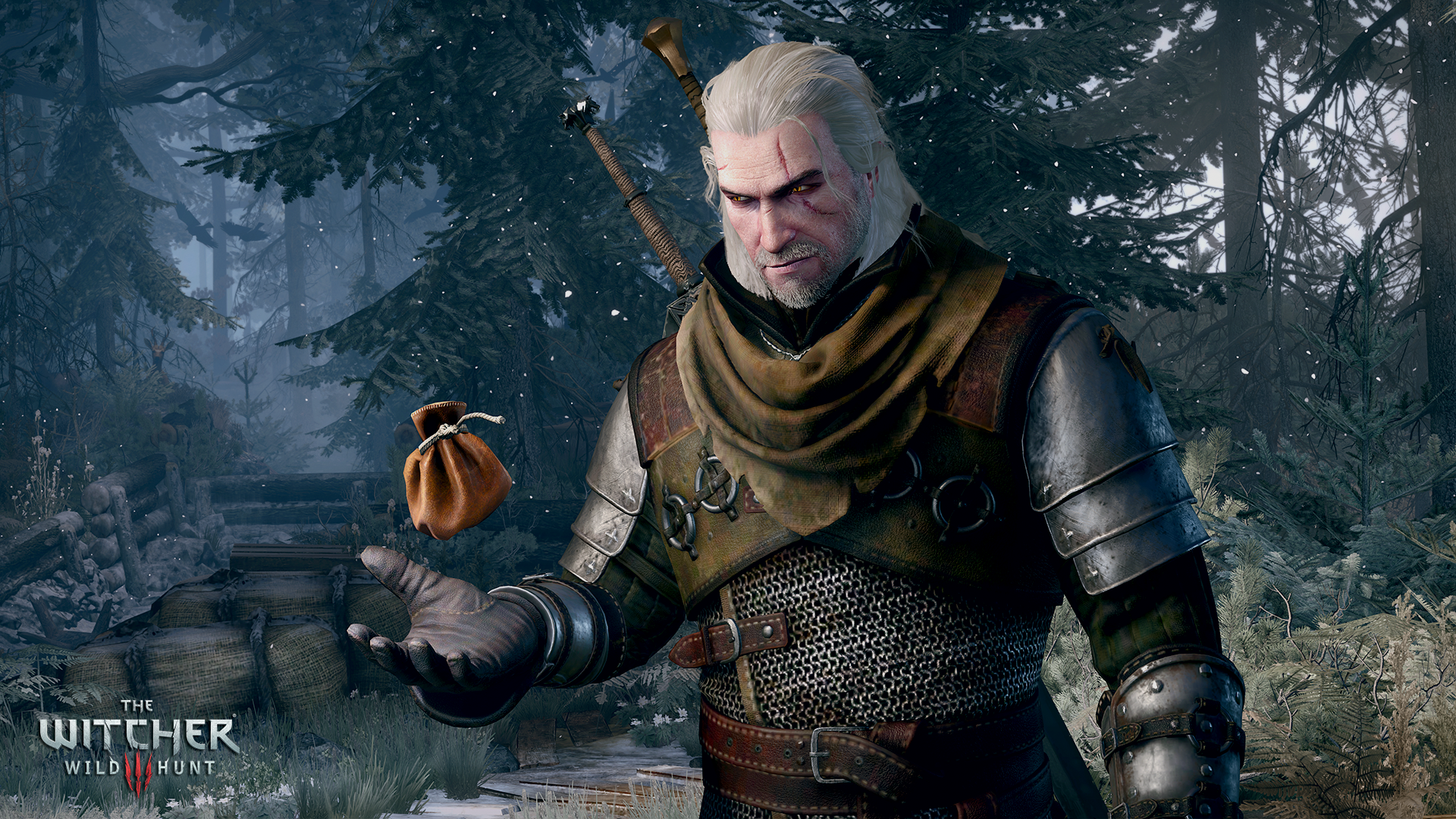 Dynamic Beard Growth Confirmed for Witcher 3