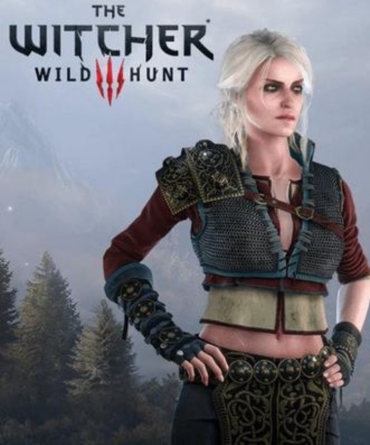 Witcher 3 DLC Leaks Early, Dev Warns Against Downloading It
