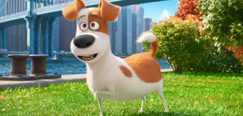 Another Full Trailer for Illumination's Amusing 'The Secret Life of Pets'