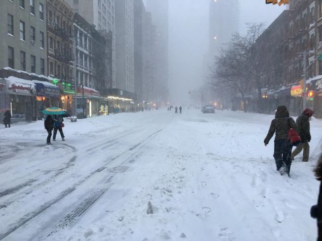 The Division, IRL