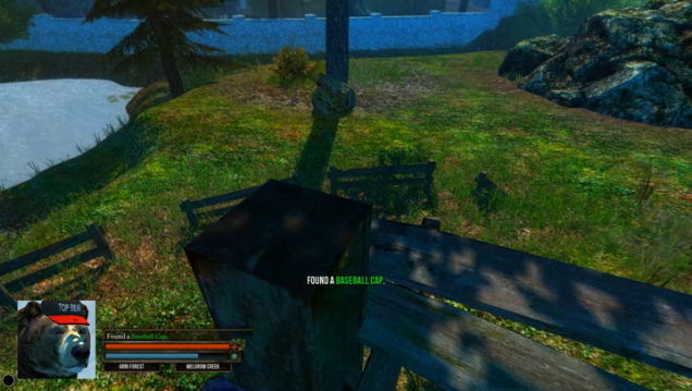 Being A Bear Is Much More Complicated Than We Thought