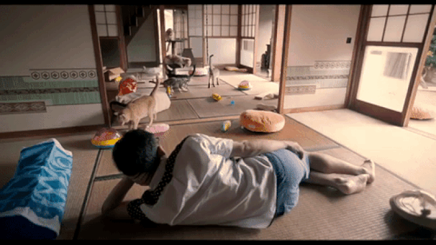 Neko Atsume Could Seriously Be The First Good Video Game Movie