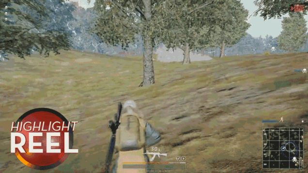 Battlegrounds Player Has Mastered The Art Of Camouflage