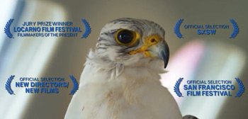 Official Trailer for 'The Challenge' Doc About Amateur Falconry in Qatar
