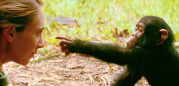 First Trailer for Brett Morgen's Doc 'Jane' Tells the Story of Jane Goodall