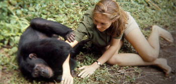 LFF Review: Brett Morgen's 'Jane' Documentary is Sublime & Inspiring
