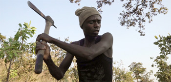 LFF Review: Emmanuel Gras' 'Makala' is an Exceptional Documentary