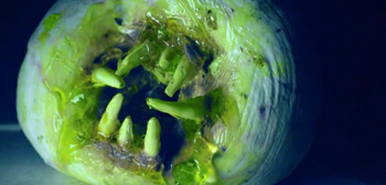 Official Trailer for Wacky Horror Comedy 'Attack of the Killer Donuts'