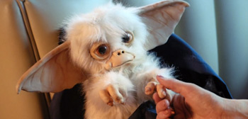 Watch: Impressive Homemade 'Gremlins' Short Film 'Gremlins: Recall'