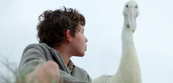 Storm Boy Trailer