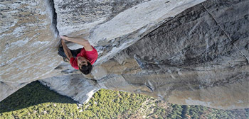 Free Solo Review
