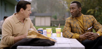 Green Book Review