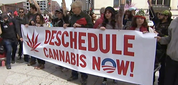 Weed the People Trailer