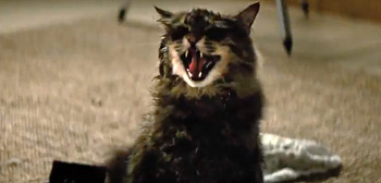 Freaky First Trailer for Kölsch & Widmyer's 'Pet Sematary' Adaptation