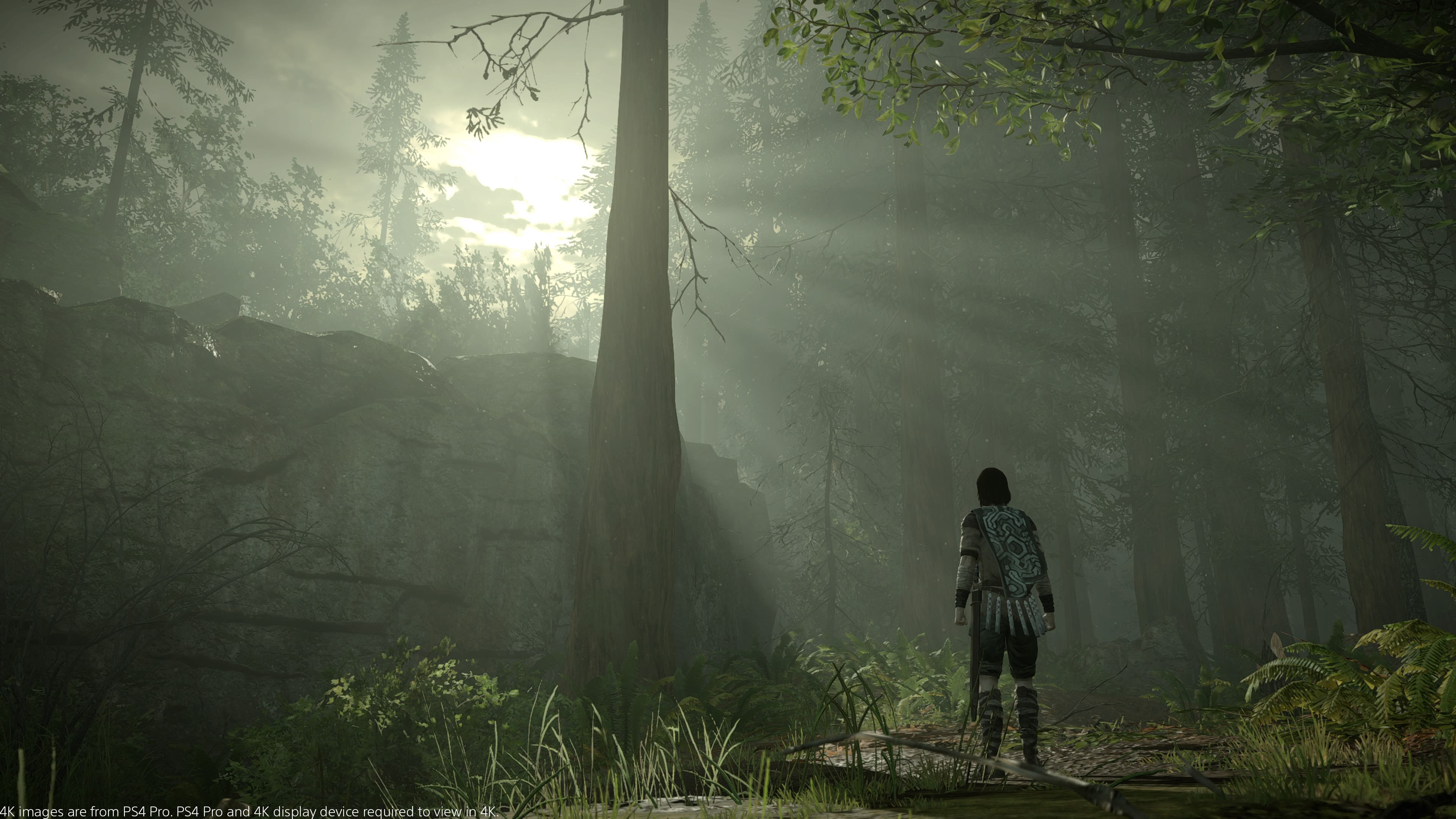 Shadow of the Colossus
