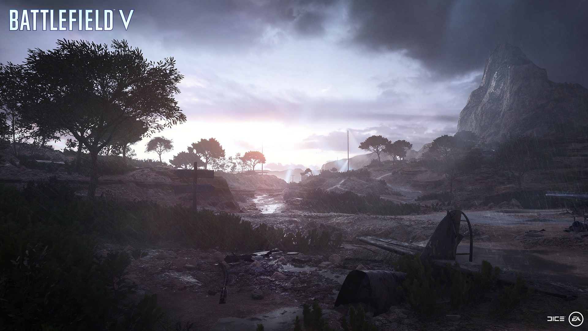 Battlefield V