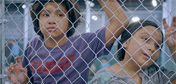 Icebox Trailer