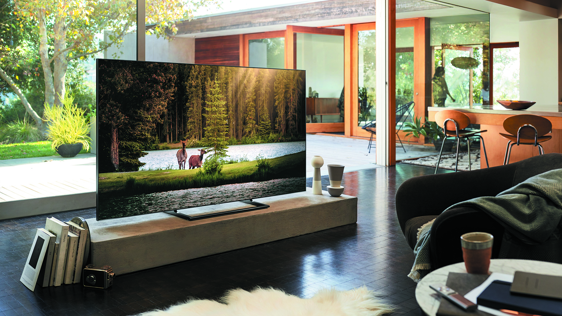 Samsung Q9FN QLED TV Series